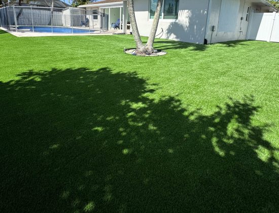 boynton-beach-synthetic-grass-cleaning