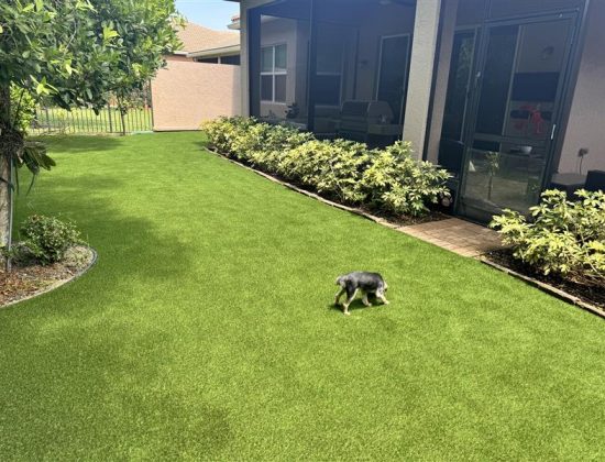 pet-turf-cleaning-company-boynton-beach